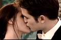História: O Amanhecer dos Cullens