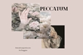 História: Peccatum - Interativa