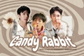 História: Candy Rabbit
