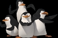 História: Re:zero reagindo aos pinguins de Madagascar