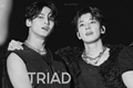História: Triad - Mingyu e Wonwoo SEVENTEEN
