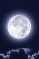 História: Kimetsu no yaiba: lua e noite