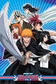 História: Minha vida em bleach