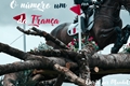 História: O n&#250;mero um da Fran&#231;a