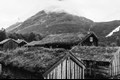 História: Casa velha