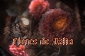 História: Flores de D&#225;lia