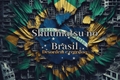 História: Shuumatsu no Brasil, Desordem e Regresso