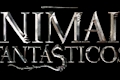 História: Animais fant&#225;sticos!