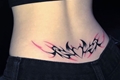 História: &#119827;he tatto - &#119827;aegi