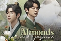 História: Almonds and Jasmine