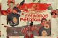 História: Contando P&#233;talas