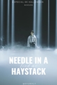 História: Needle in a haystack (find me) - Especial de halloween