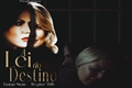História: A Lei Do Destino - Swanqueen