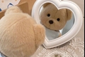 História: Plushie cutie boy - Xiaodery