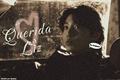 História: Querida Liz (Jeon JungKook)