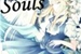 Fanfic / Fanfiction The Valt of Souls