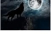 Fanfic / Fanfiction O Lobo e a Lua