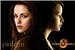 Fanfic / Fanfiction Katniss VS. Bella