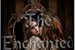 Fanfic / Fanfiction The Enchanted Mirror