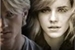Fanfic / Fanfiction Love Story- Dramione