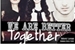 Fanfic / Fanfiction We Are Better Together