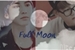 Fanfic / Fanfiction Full Moon