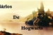 Fanfic / Fanfiction Diários de Hogwarts