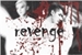 Fanfic / Fanfiction Revenge
