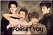 Fanfic / Fanfiction I Will Never Forget You.