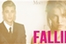 Fanfic / Fanfiction Falling