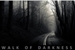 Fanfic / Fanfiction Walk of Darkness