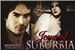 Fanfic / Fanfiction Jesus Of Suburbia
