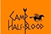 Fanfic / Fanfiction Camp Half-Blood