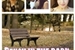 Fanfic / Fanfiction Bench in the park