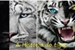 Fanfic / Fanfiction A Historia Do Tigre