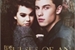 Fanfic / Fanfiction Pulses of An Angel - with Shawn Mendes (HIATUS)