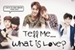 Fanfic / Fanfiction Tell Me...What is Love??