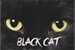 Fanfic / Fanfiction Black Cat