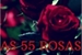 Fanfic / Fanfiction As 55 Rosas