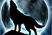 Fanfic / Fanfiction Os lobos guerreiros