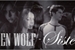 Fanfic / Fanfiction Teen Wolf -Sisters