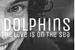 Fanfic / Fanfiction Dolphins - O Amor Está no Mar