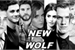 Fanfic / Fanfiction New Wolf