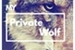 Fanfic / Fanfiction My Private Wolf