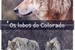 Fanfic / Fanfiction Os lobos do Colorado
