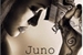 Fanfic / Fanfiction Juno - VenatrixSupernatural