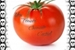Fanfic / Fanfiction Um Tomate Chamado Castiel