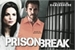 Fanfic / Fanfiction Prison Break
