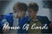 Fanfic / Fanfiction House Of Cards-JiHope