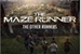 Fanfic / Fanfiction The Maze Runner - The Other Runners.